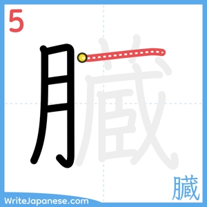 How to write "臓" - stroke 5