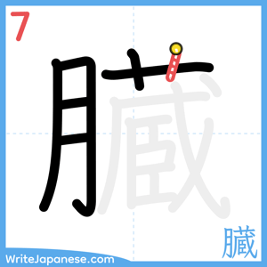 How to write "臓" - stroke 7
