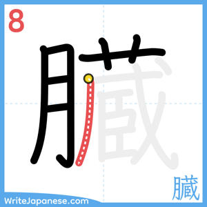 How to write "臓" - stroke 8