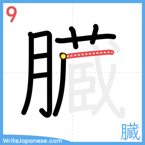 How to write "臓" - stroke 9