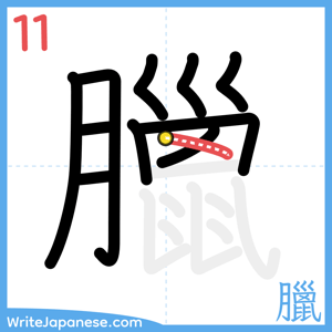 How to write "臘" - stroke 11