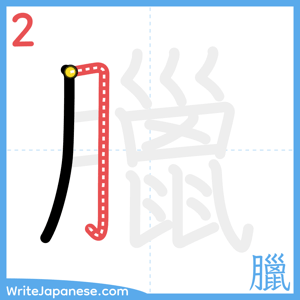 How to write "臘" - stroke 2