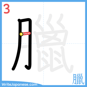How to write "臘" - stroke 3