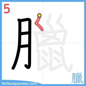 How to write "臘" - stroke 5