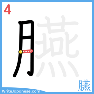 How to write "臙" - stroke 4