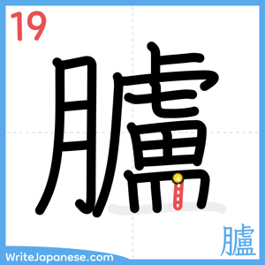 How to write "臚" - stroke 19