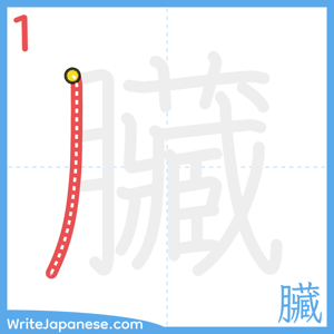 How to write "臟" - stroke 1
