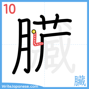 How to write "臟" - stroke 10