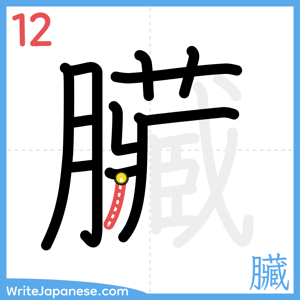 How to write "臟" - stroke 12