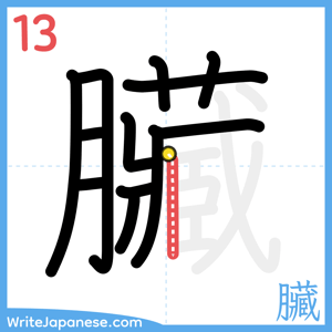 How to write "臟" - stroke 13