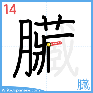 How to write "臟" - stroke 14
