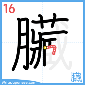 How to write "臟" - stroke 16