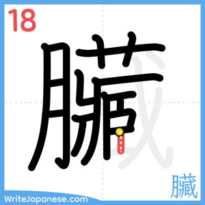 How to write "臟" - stroke 18