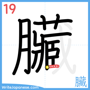 How to write "臟" - stroke 19