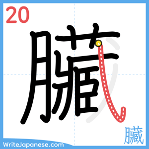 How to write "臟" - stroke 20