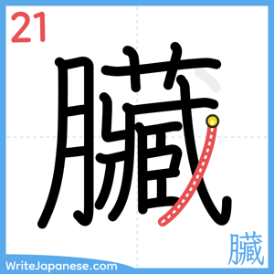 How to write "臟" - stroke 21