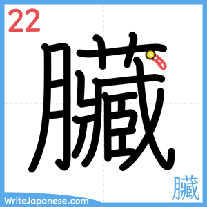 How to write "臟" - stroke 22