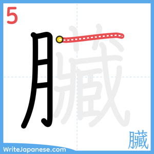 How to write "臟" - stroke 5