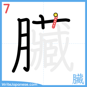 How to write "臟" - stroke 7