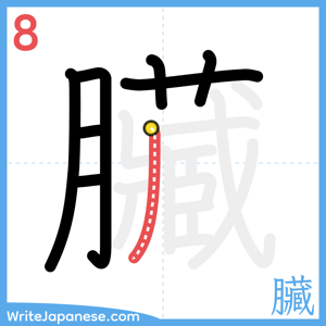 How to write "臟" - stroke 8