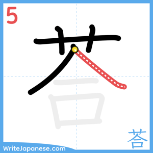 How to write "荅" - stroke 5