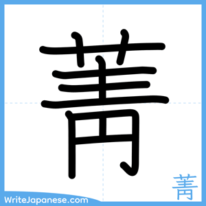 How to write "菁" - complete stroke order