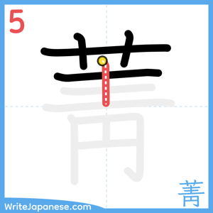 How to write "菁" - stroke 5