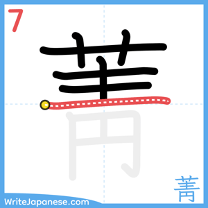 How to write "菁" - stroke 7