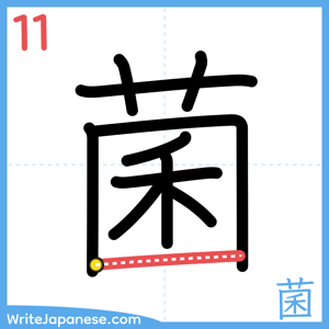 How to write "菌" - stroke 11