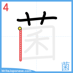 How to write "菌" - stroke 4