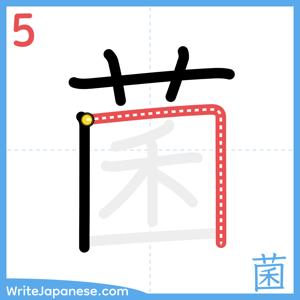 How to write "菌" - stroke 5