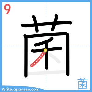 How to write "菌" - stroke 9