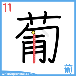 How to write "葡" - stroke 11