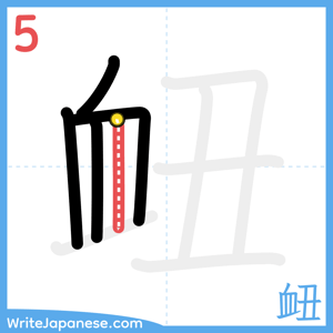 How to write "衄" - stroke 5