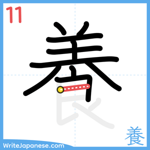 How to write "養" - stroke 11