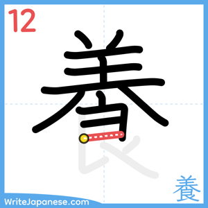 How to write "養" - stroke 12