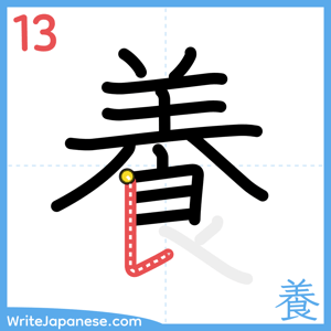 How to write "養" - stroke 13