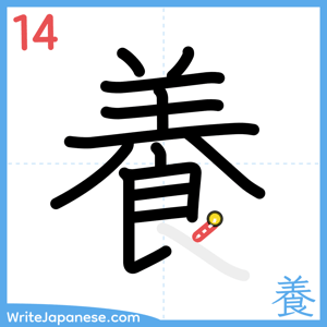 How to write "養" - stroke 14