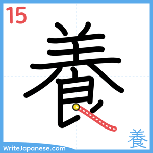 How to write "養" - stroke 15