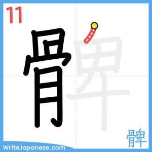 How to write "髀" - stroke 11