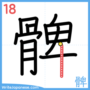 How to write "髀" - stroke 18
