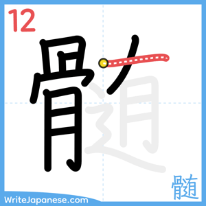How to write "髄" - stroke 12