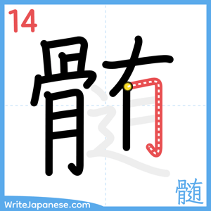 How to write "髄" - stroke 14