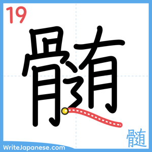 How to write "髄" - stroke 19