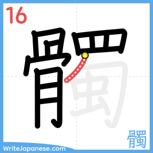 How to write "髑" - stroke 16