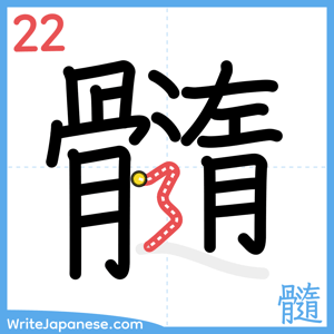 How to write "髓" - stroke 22