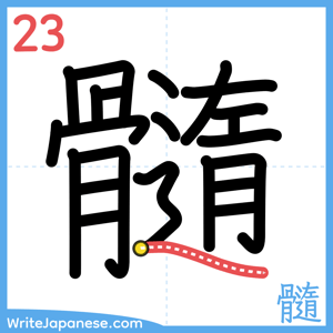 How to write "髓" - stroke 23