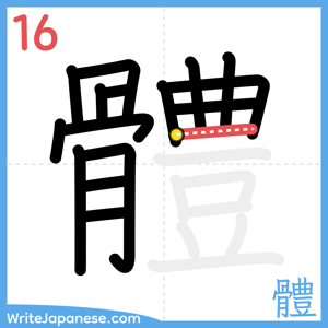 How to write "體" - stroke 16