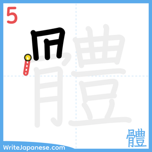 How to write "體" - stroke 5