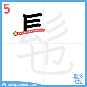 How to write "髢" - stroke 5